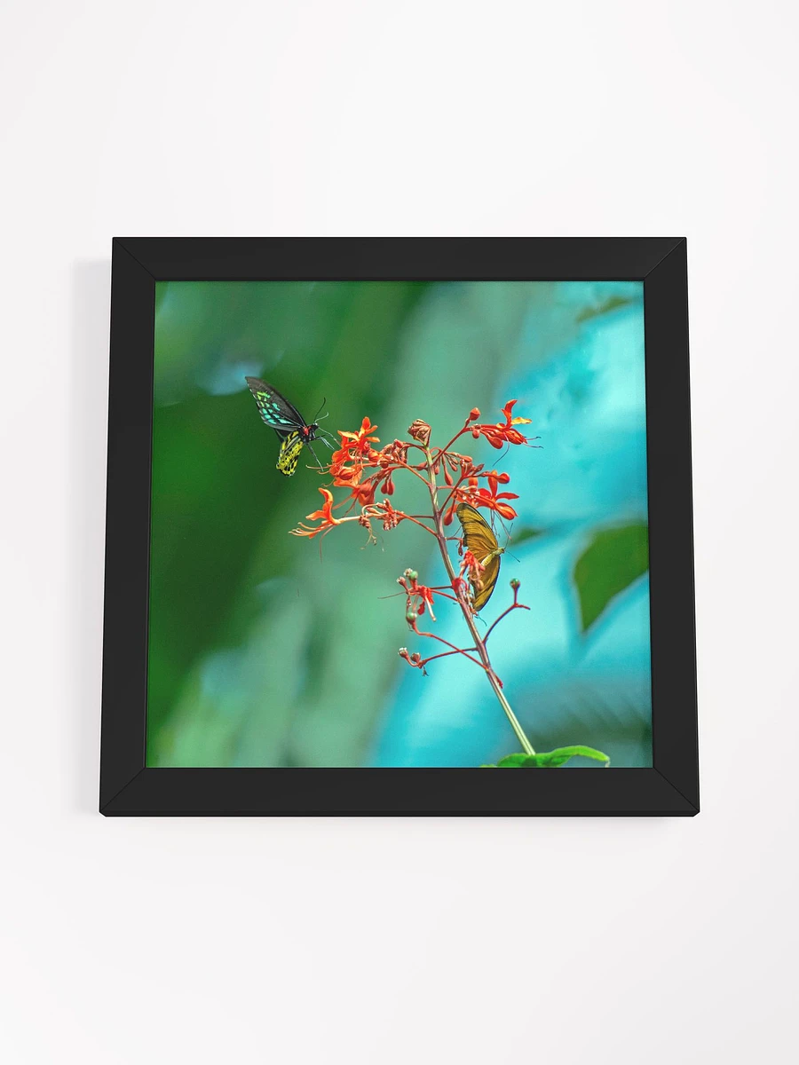 Love Joy Butterflies Beauty Framed Poster product image (14)