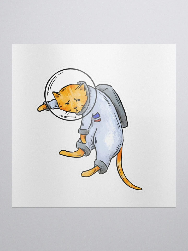 space cat product image (1)