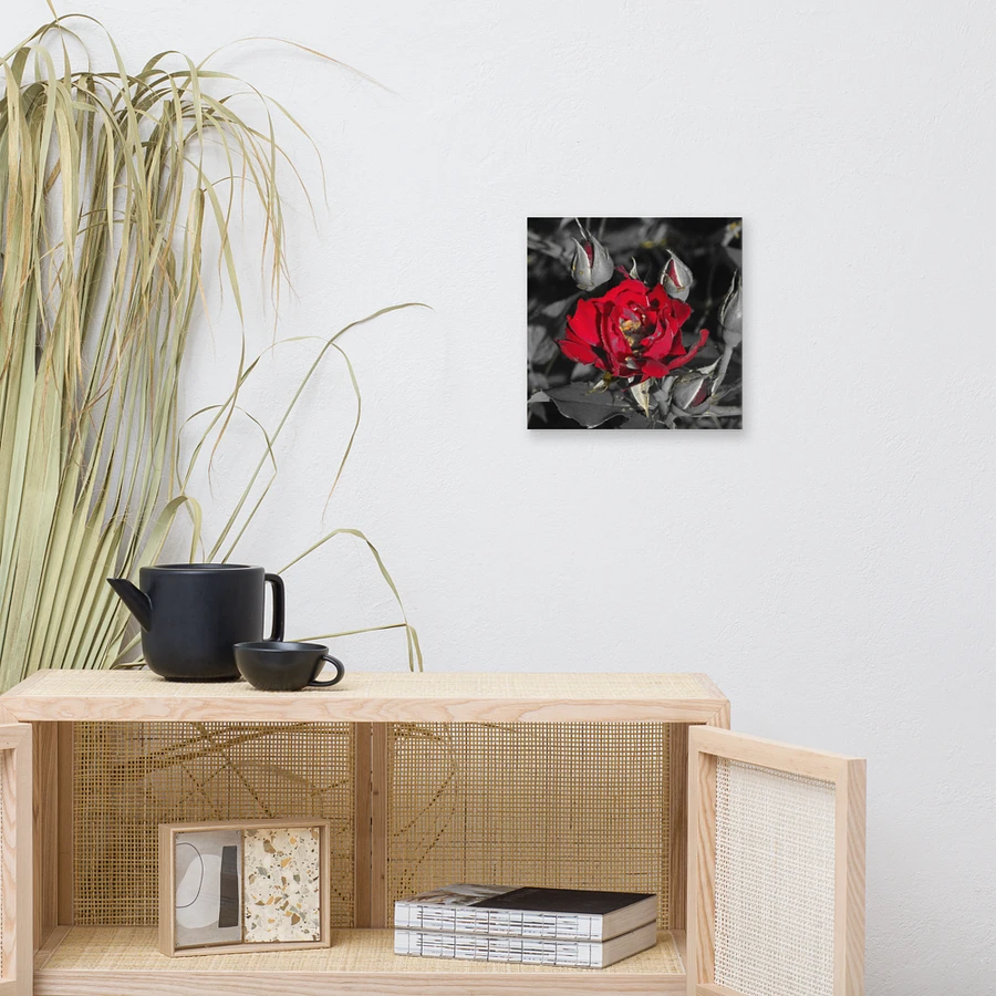Rose on Canvas product image (9)