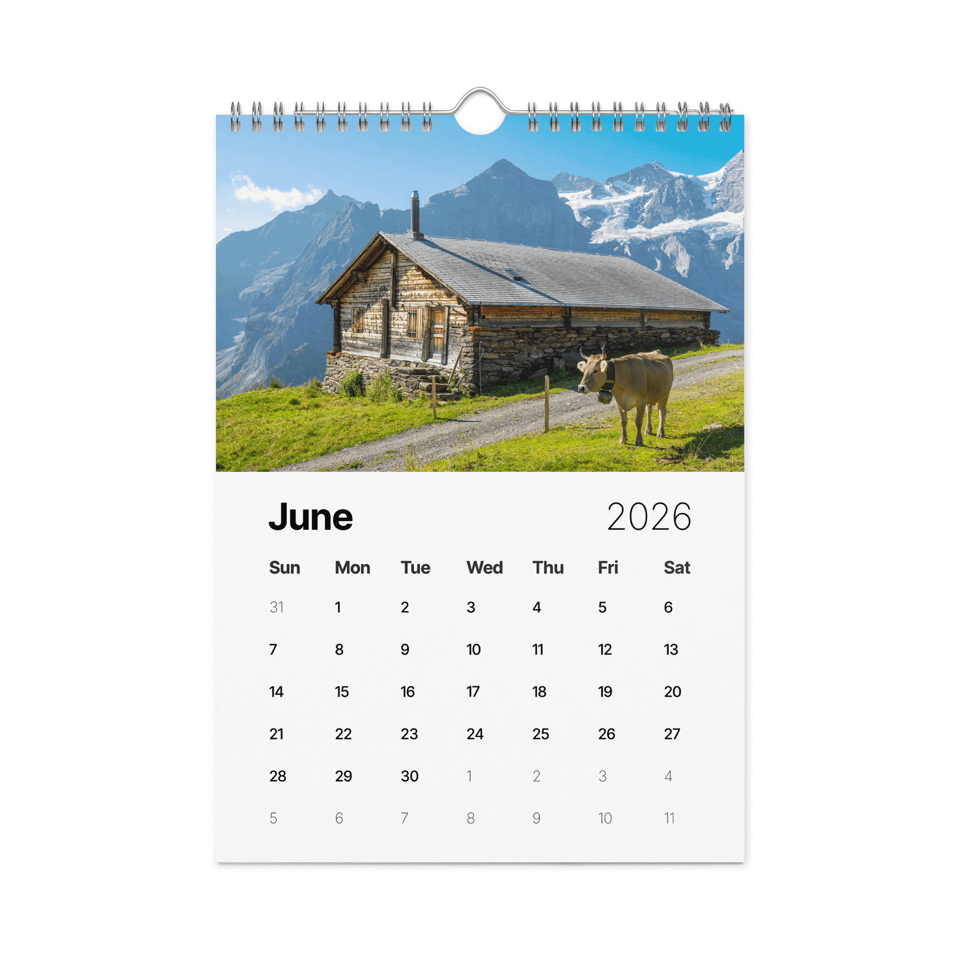 Swiss Cow Calendar 2026 product image (7)
