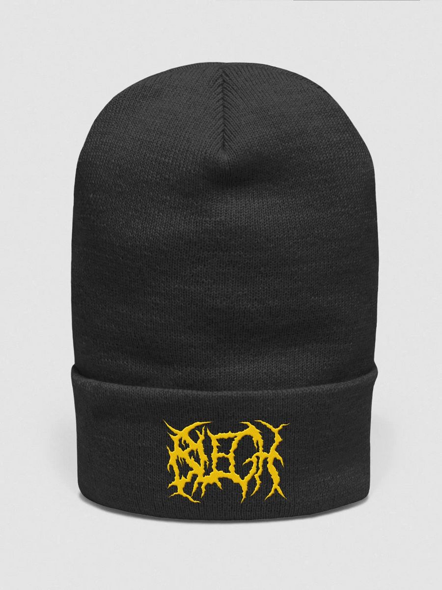 BLEGH Beanie product image (3)
