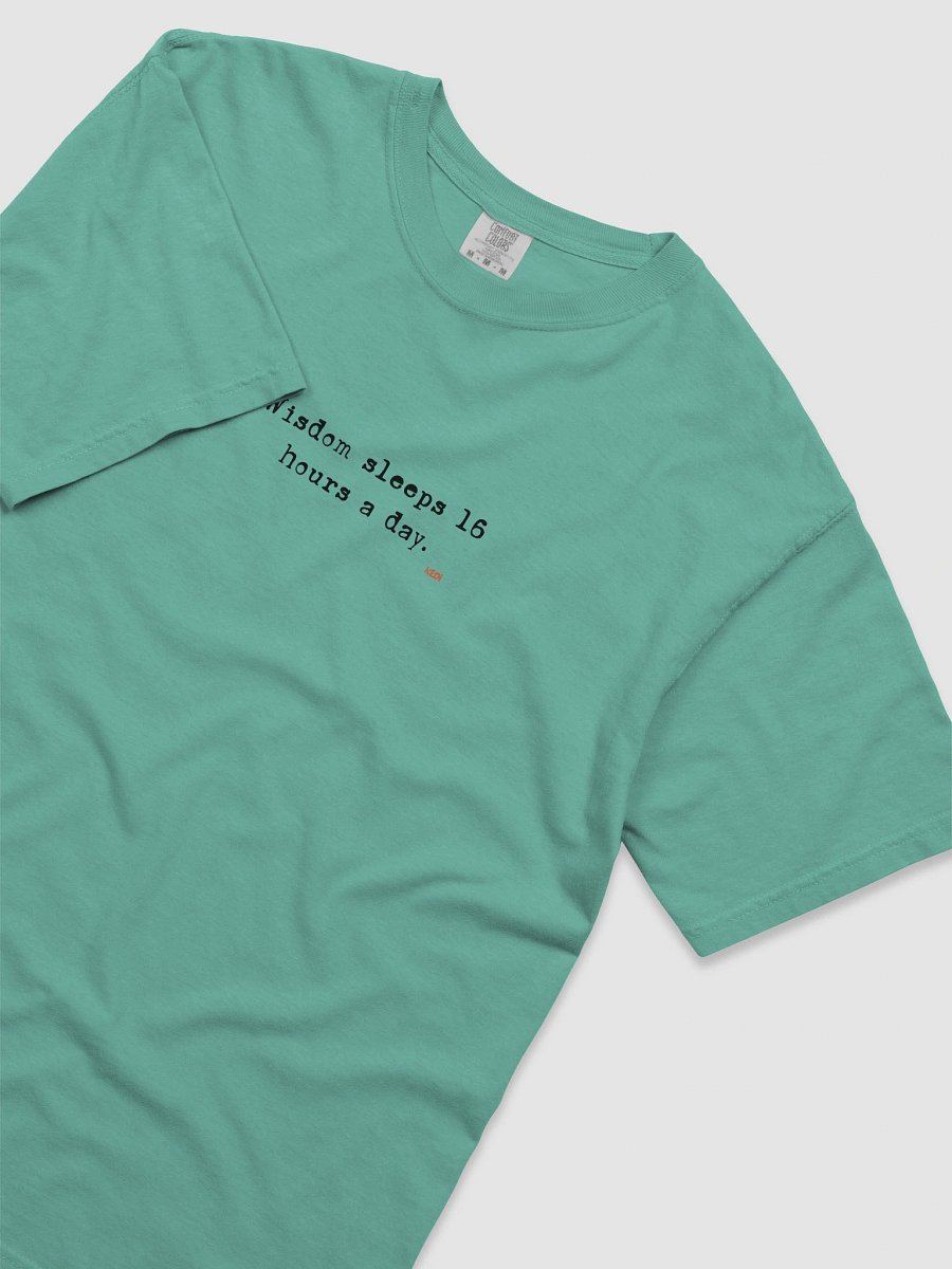 Cat Wisdom Comfort Tee product image (102)