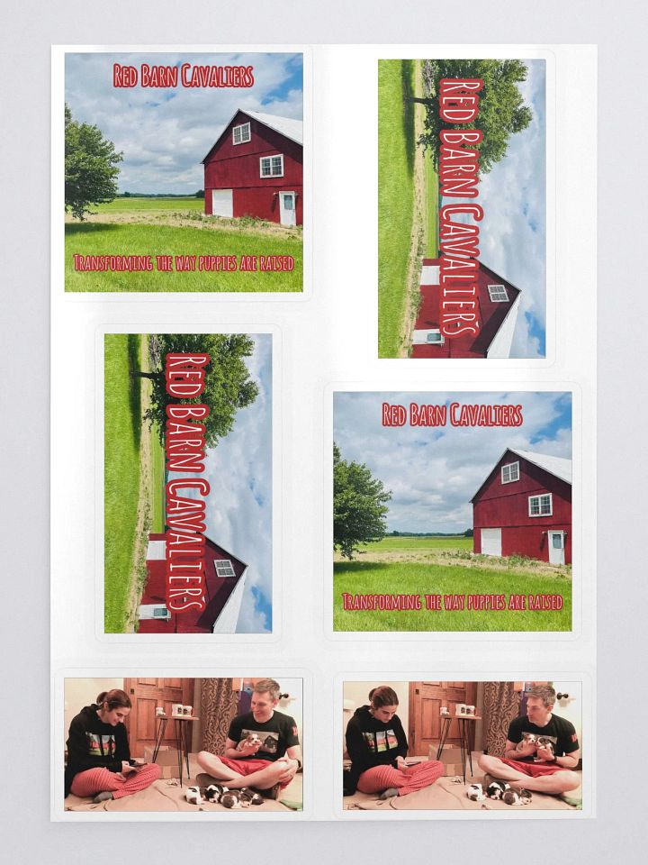 RBC Logo & YouTube Sticker set product image (2)