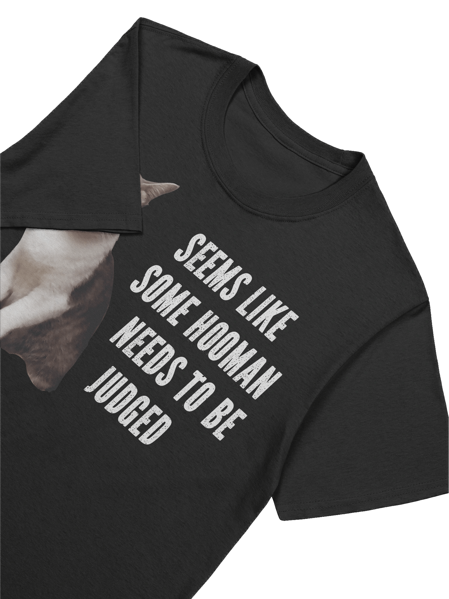 Some Hooman Needs To Be Judged T-Shirt product image (39)