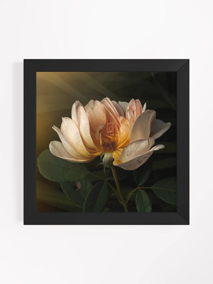 Half the Rose product image (1)