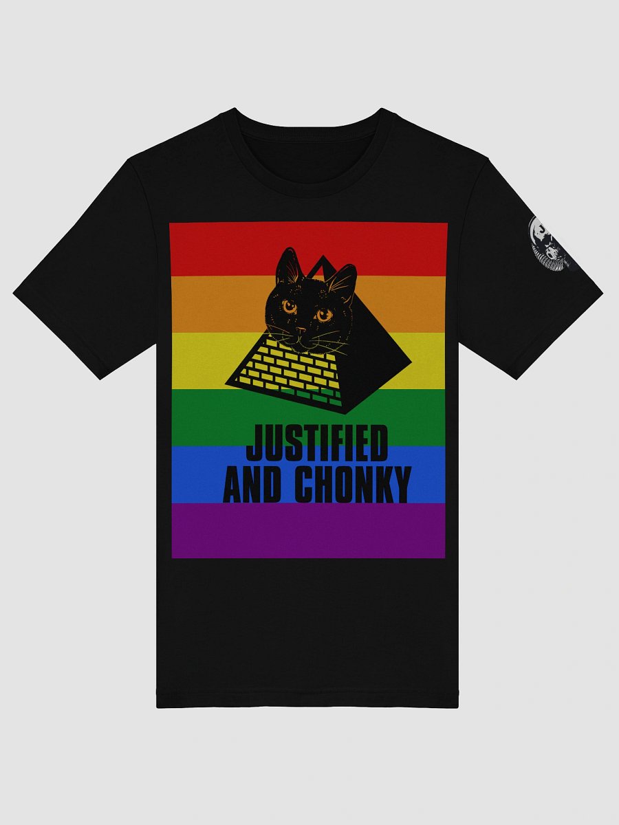 DJ STRIGOI JUSTIFED PRIDE SOFT TEE product image (5)