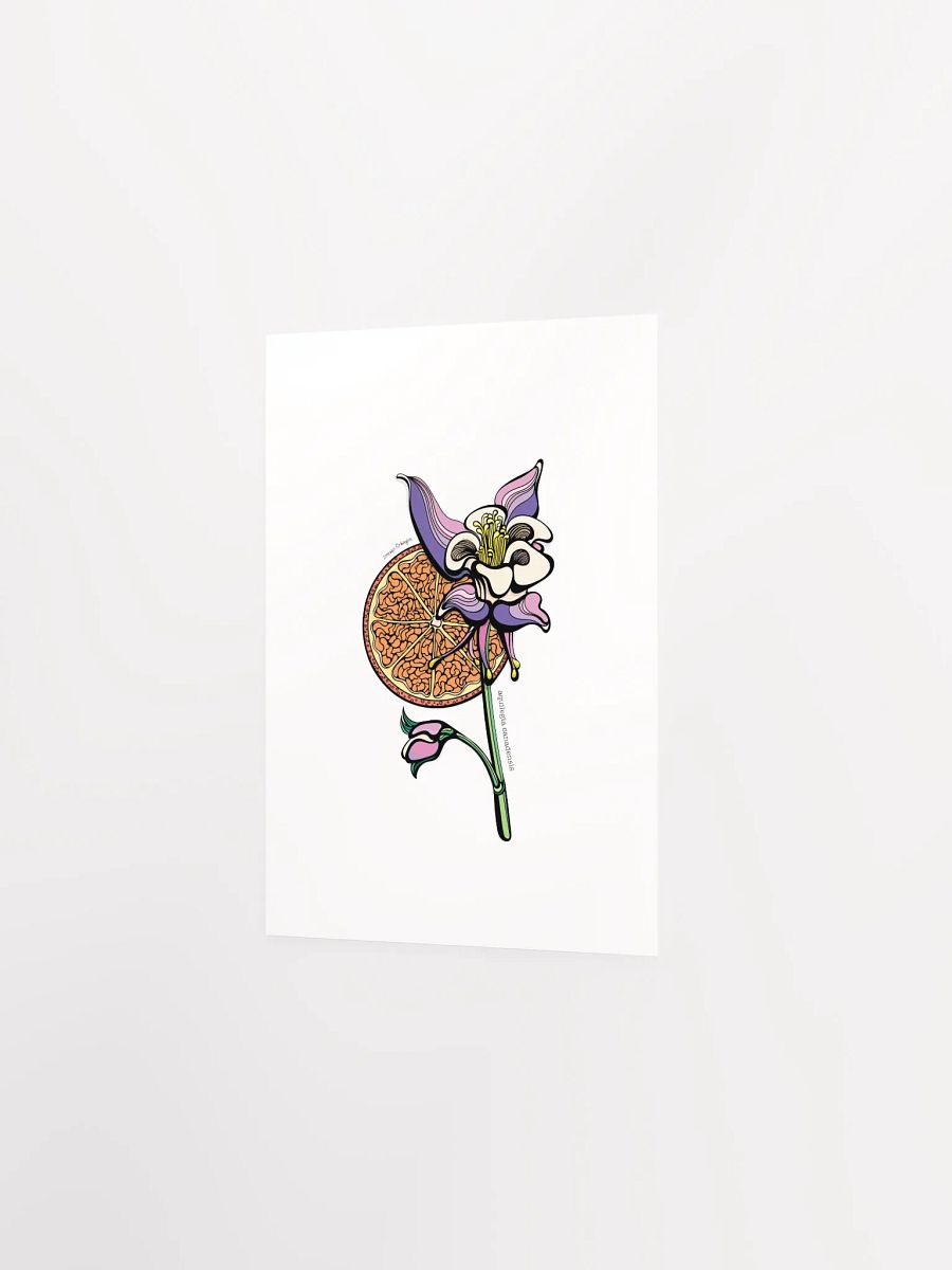 "Aquilegia Canadensis Wild Flower" Print product image (8)