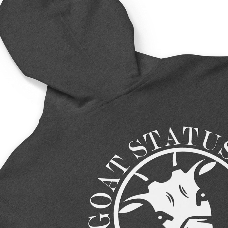 Fleece Zip Up Hoodie product image (33)