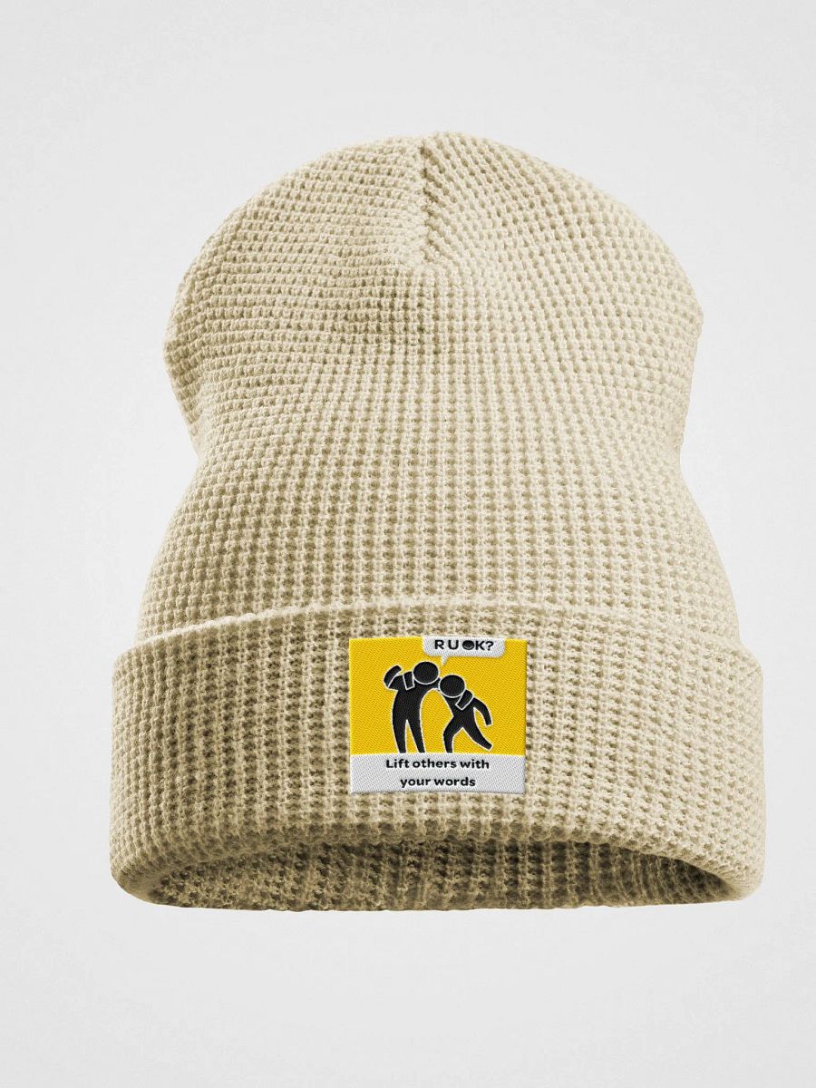 The OK Show Beenie product image (1)