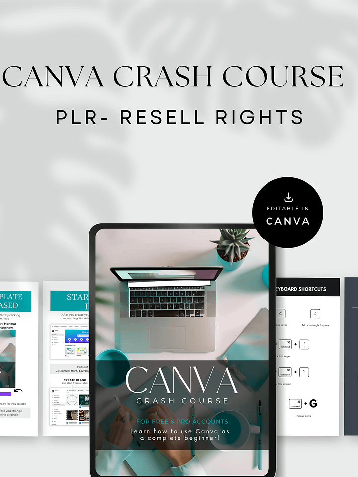 Canva Cashflow: Design & Sell Digital Products in a Weekend product image (1)