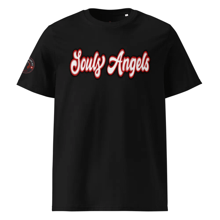 Souls Angels product image (1)