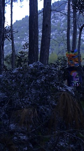First, the blur appeared.
Then something peeked from the stones.
If they start charging rent, we’re doomed. 🏚️
Shop your regi...