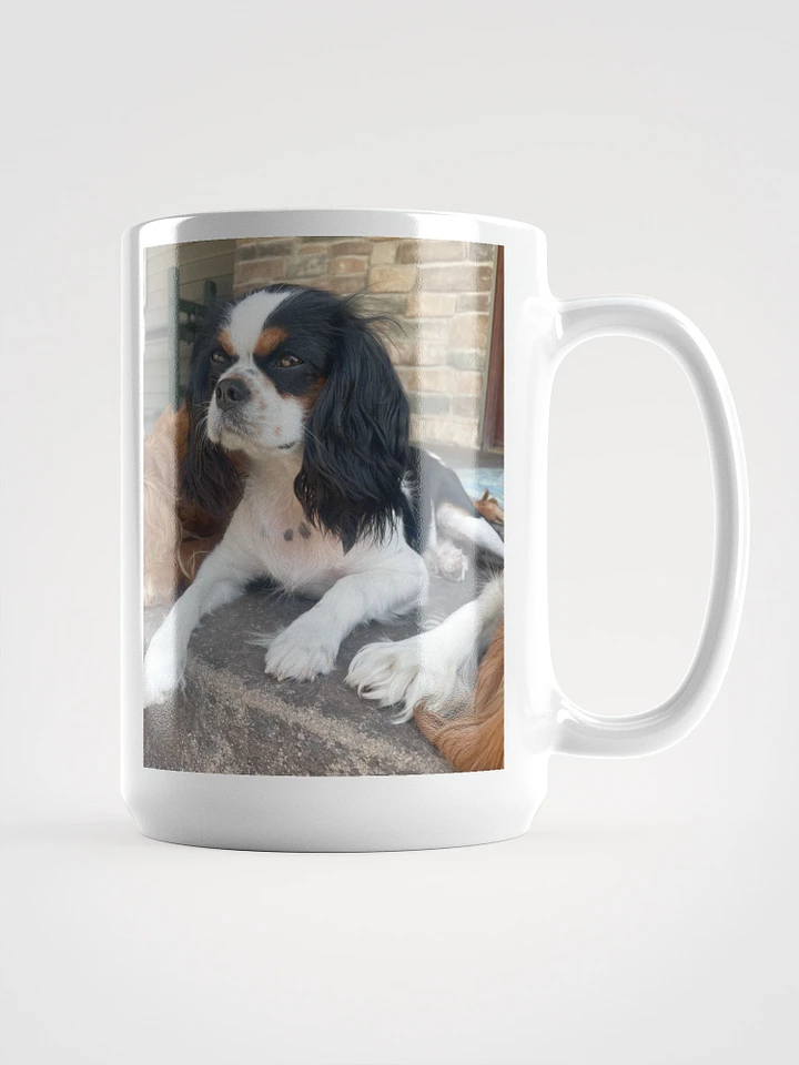 Daisy Doodle Coffee Mug 15oz product image (1)