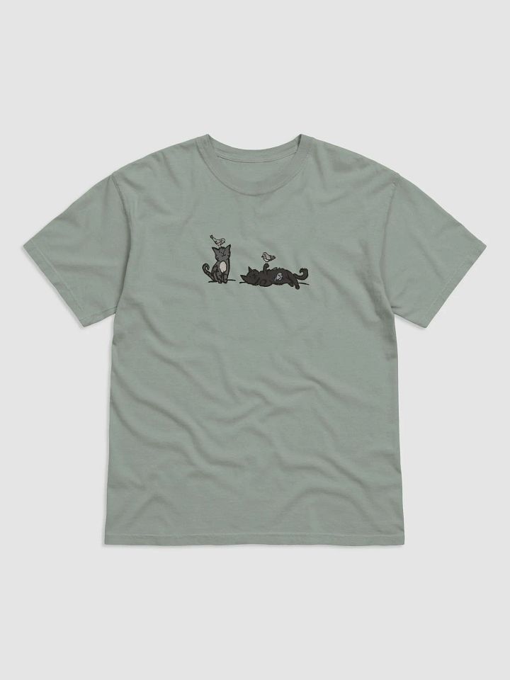 Birb Friends // Comfort Colors Garment-Dyed Heavyweight T-Shirt product image (5)
