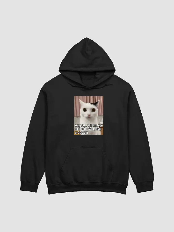 Your Balls Will Explode On October 21st 2043 At 5:36am Hoodie product image (1)