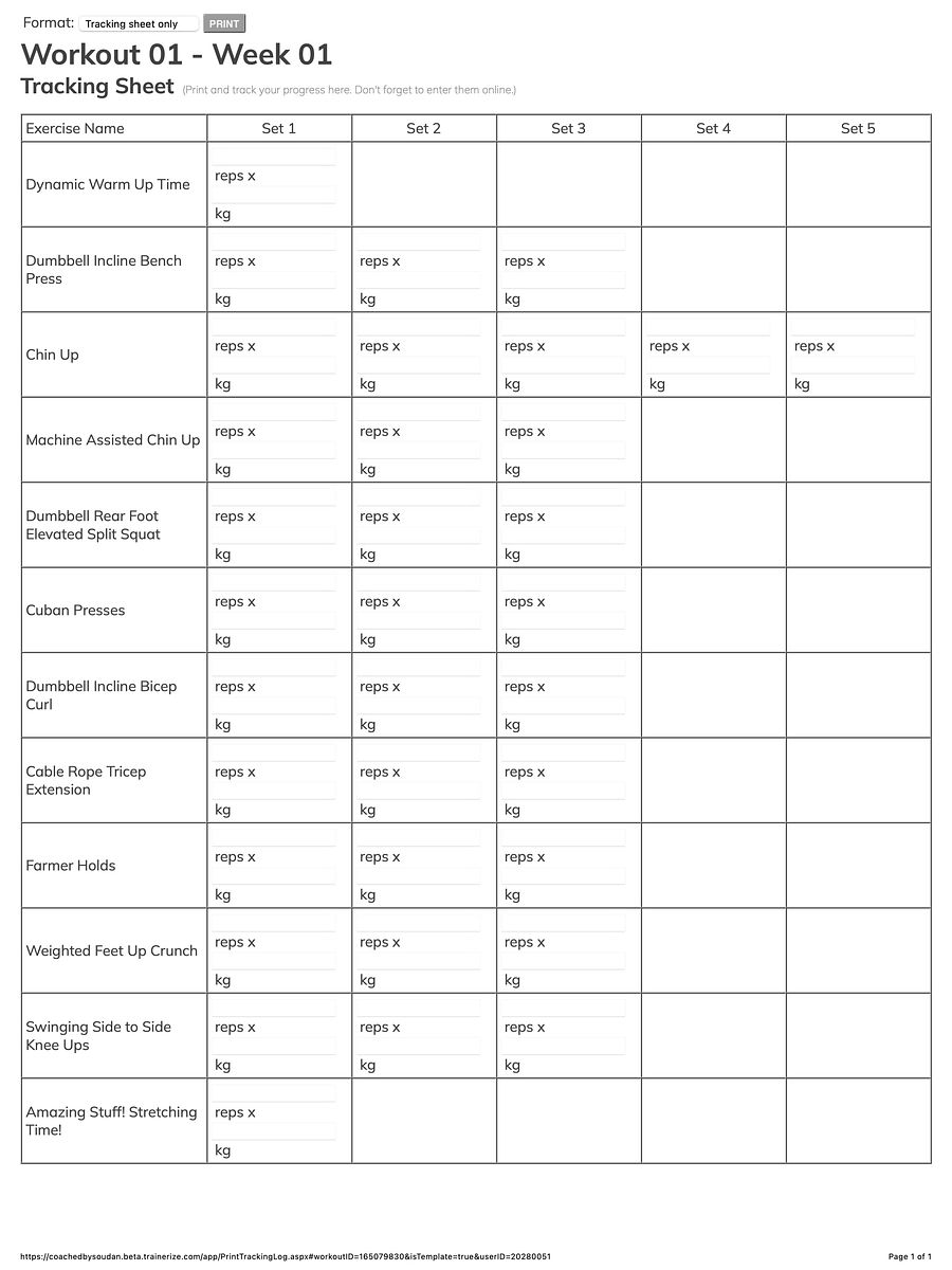 8 Week Muscle Gaining Program product image (3)