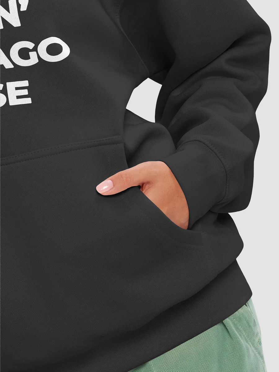 Flipside's Chicago House Hoodie product image (8)