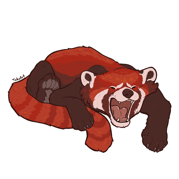 Sleepy Red Panda - Sticker product image (1)