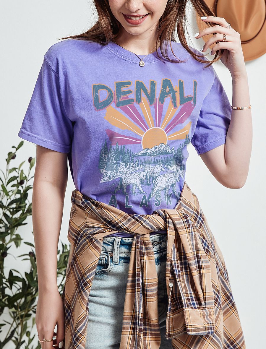 Denali National Park, Alaska Tee | Retro-Style Western T-Shirt for Travel and Road Trips product image (43)