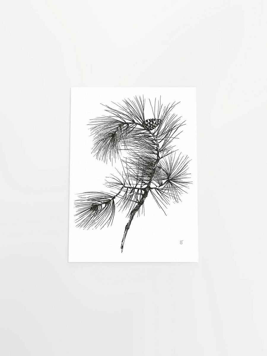 Whimsical Pine Branch Poster - Pine Branch product image (4)