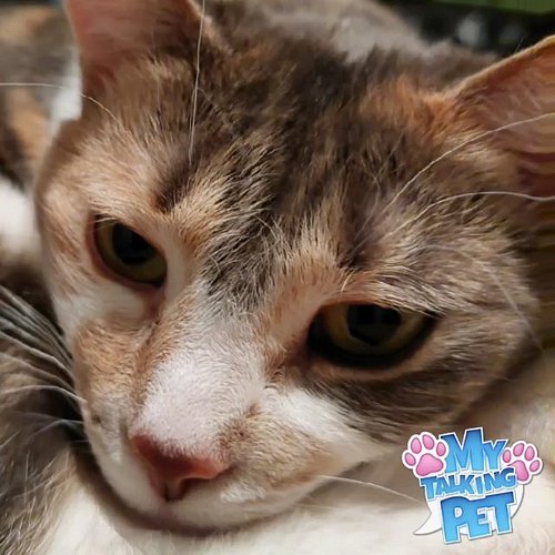 Hope u all have a happy holidays! Get stuffed!