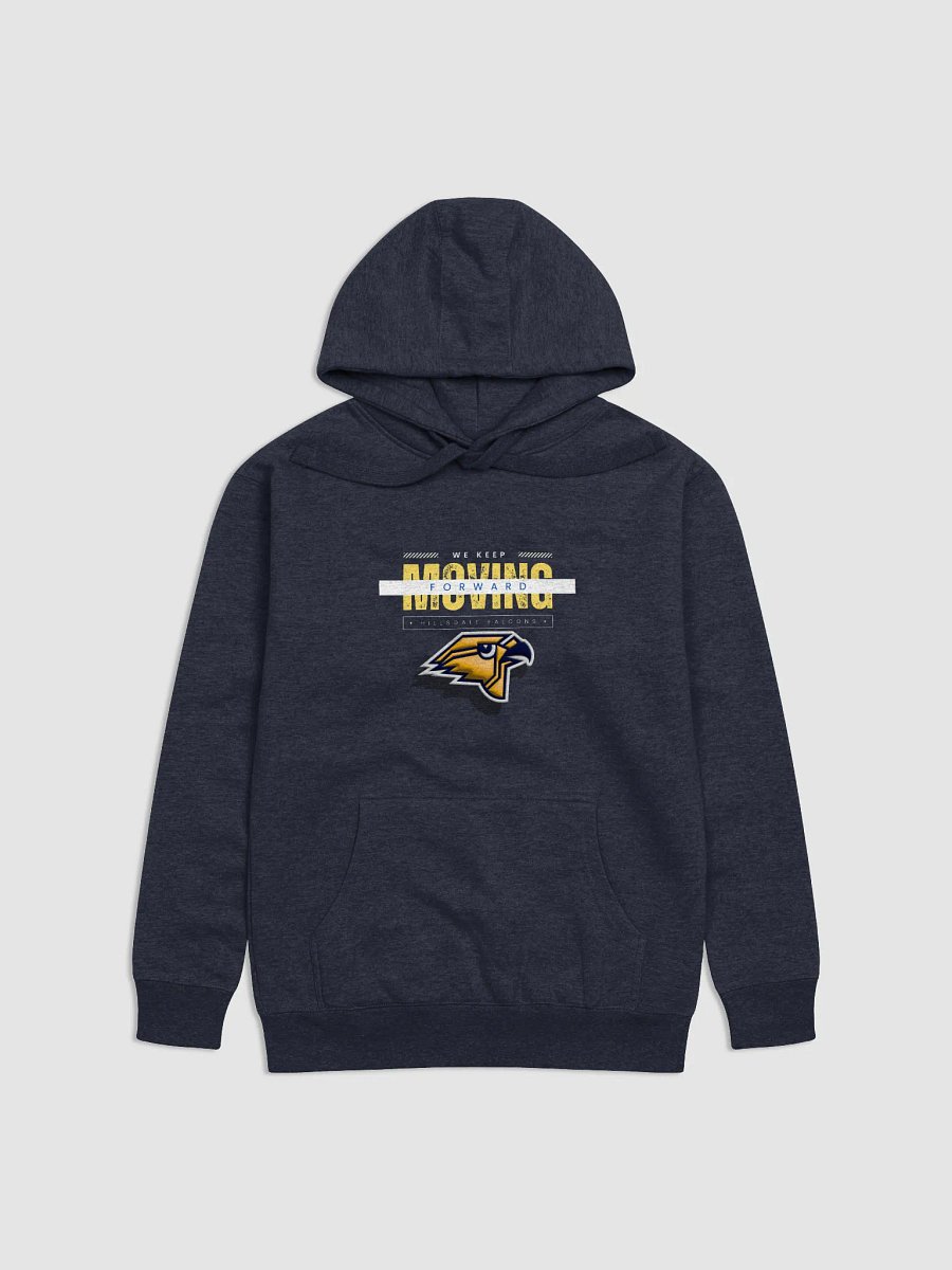 Hillsdale Falcons Hoodie product image (2)