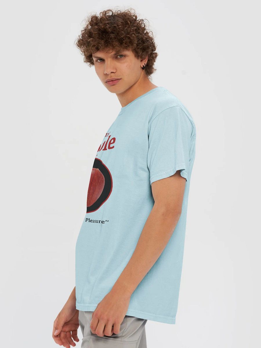 APPLE RANKINGS: ENVY APPLE T-SHIRT (Regular Fit) product image (14)