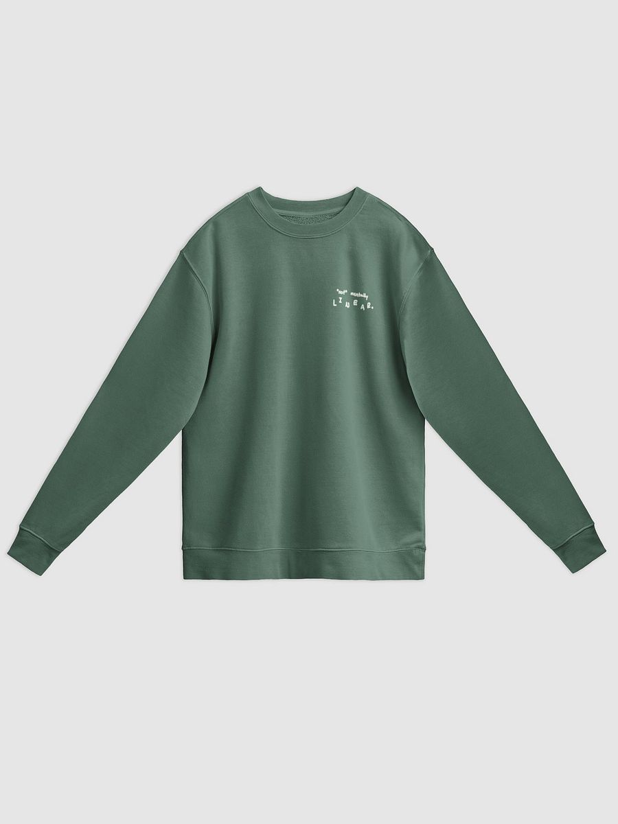 *not* mentally linear (sm. lined design, #96B697) printed pigment crewneck product image (8)