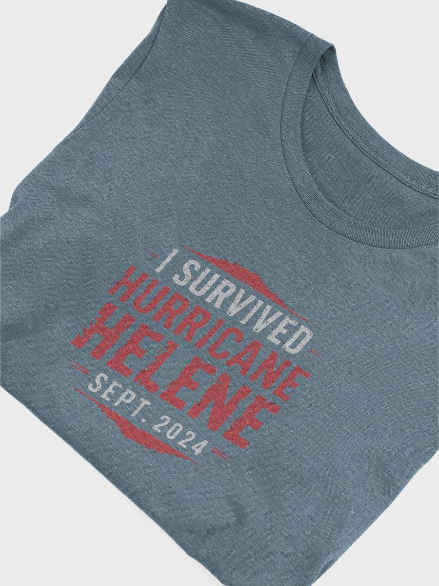 I Survived Hurricane Helene Tee product image (31)