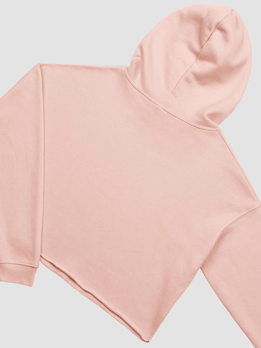 Disney Magical World: Magic Lives Here Disney Attractions Crop Hoodie Peach product image (4)
