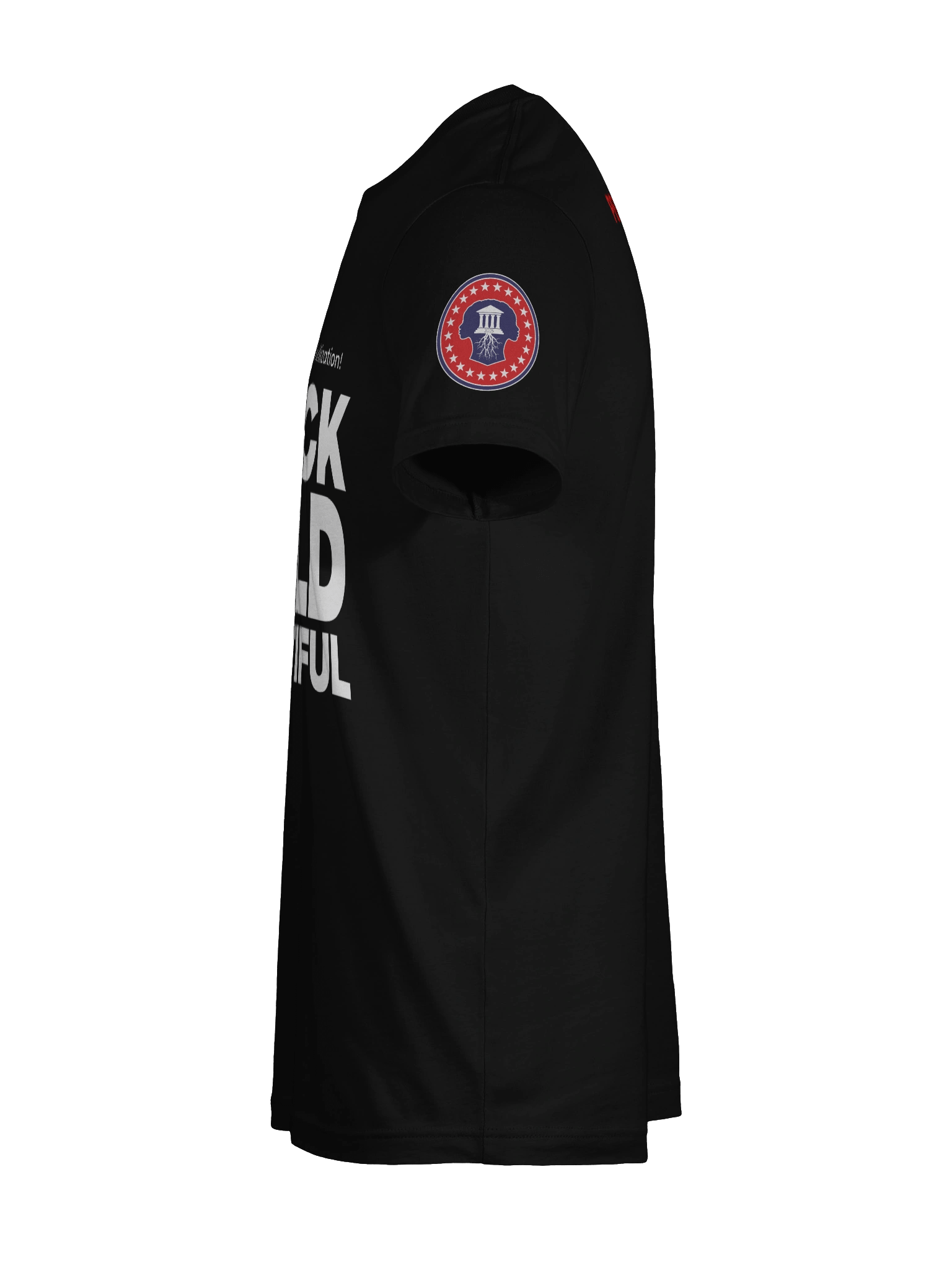 PA - Mother of Civilization T-Shirt product image (11)