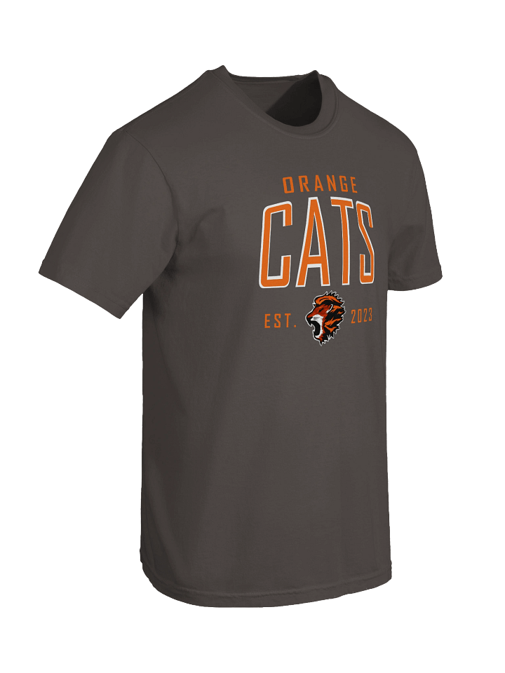 Orange Cats EST 2023 T-Shirt product image (2)