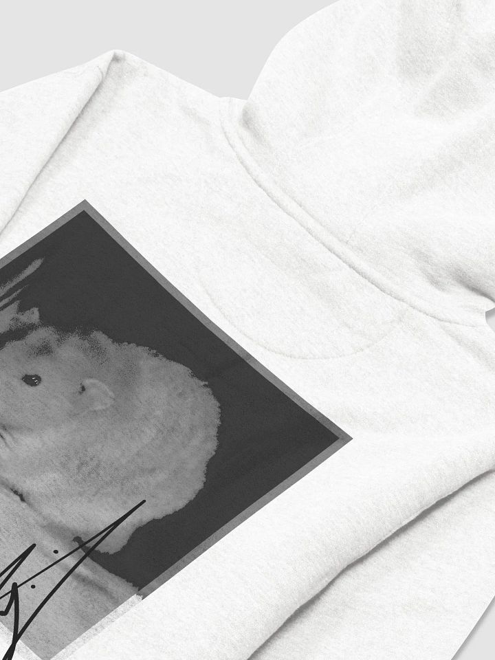 EYEBALL HOODIE - LIGHT product image (1)