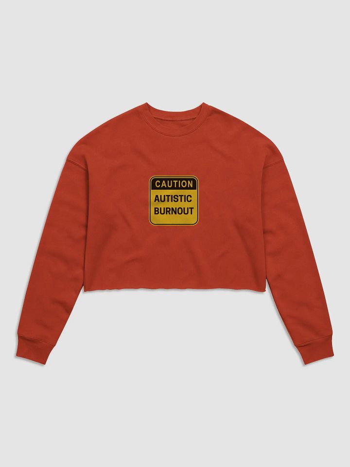CAUTION: ASD BURNOUT cropped crewneck product image (2)