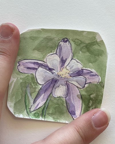 Quick watercolor columbine flower for a friend who wasn’t feeling well. #watercolor #tinypainting #traditionalart
