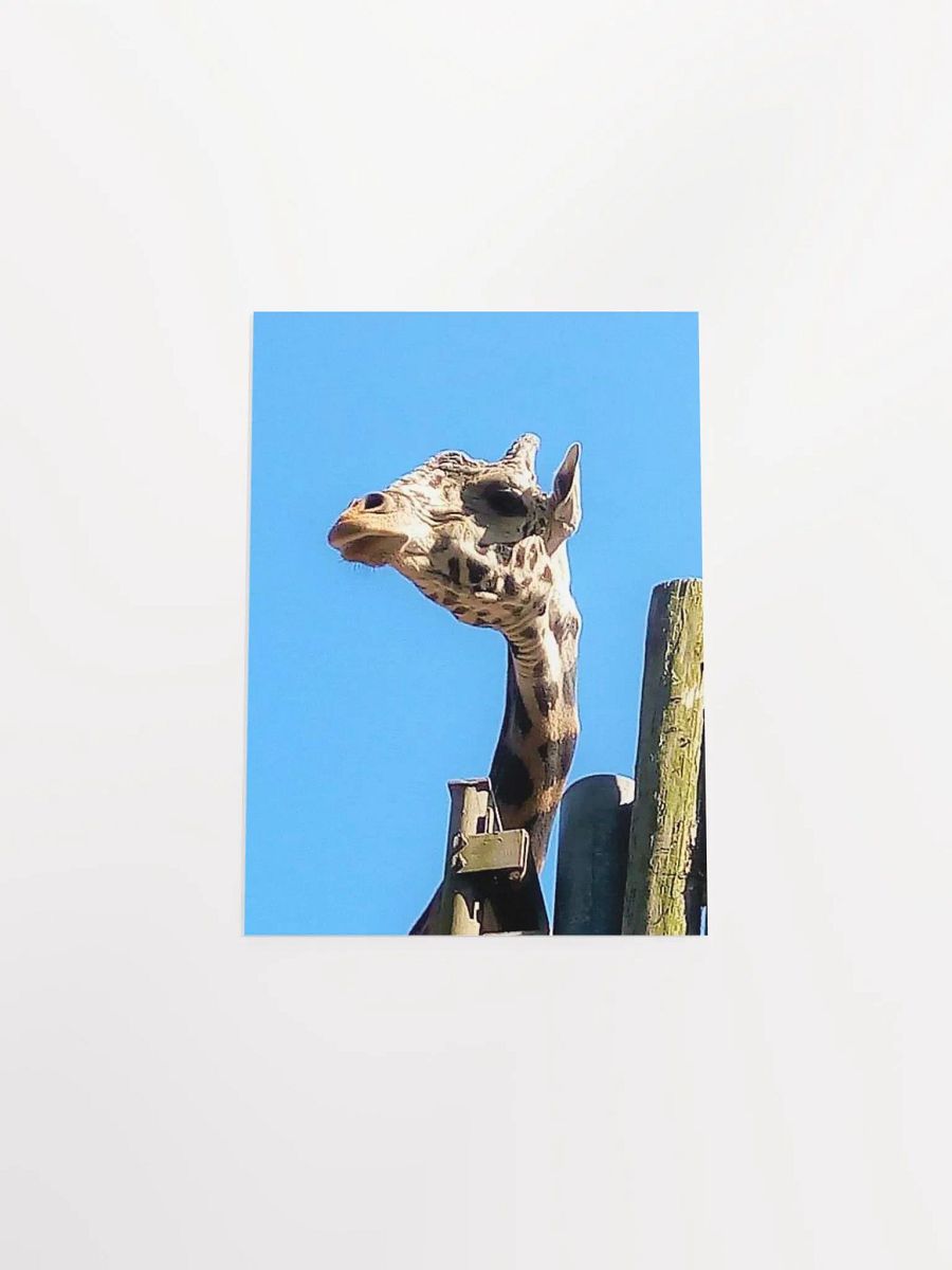 Giraffe Close Up product image (40)