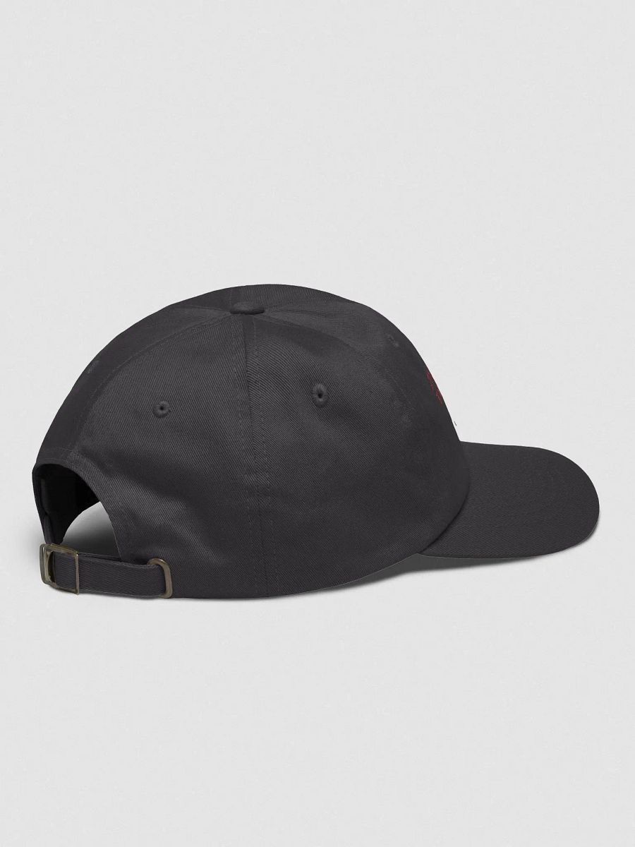 Insert coints to continue hat - 100% cotton product image (5)