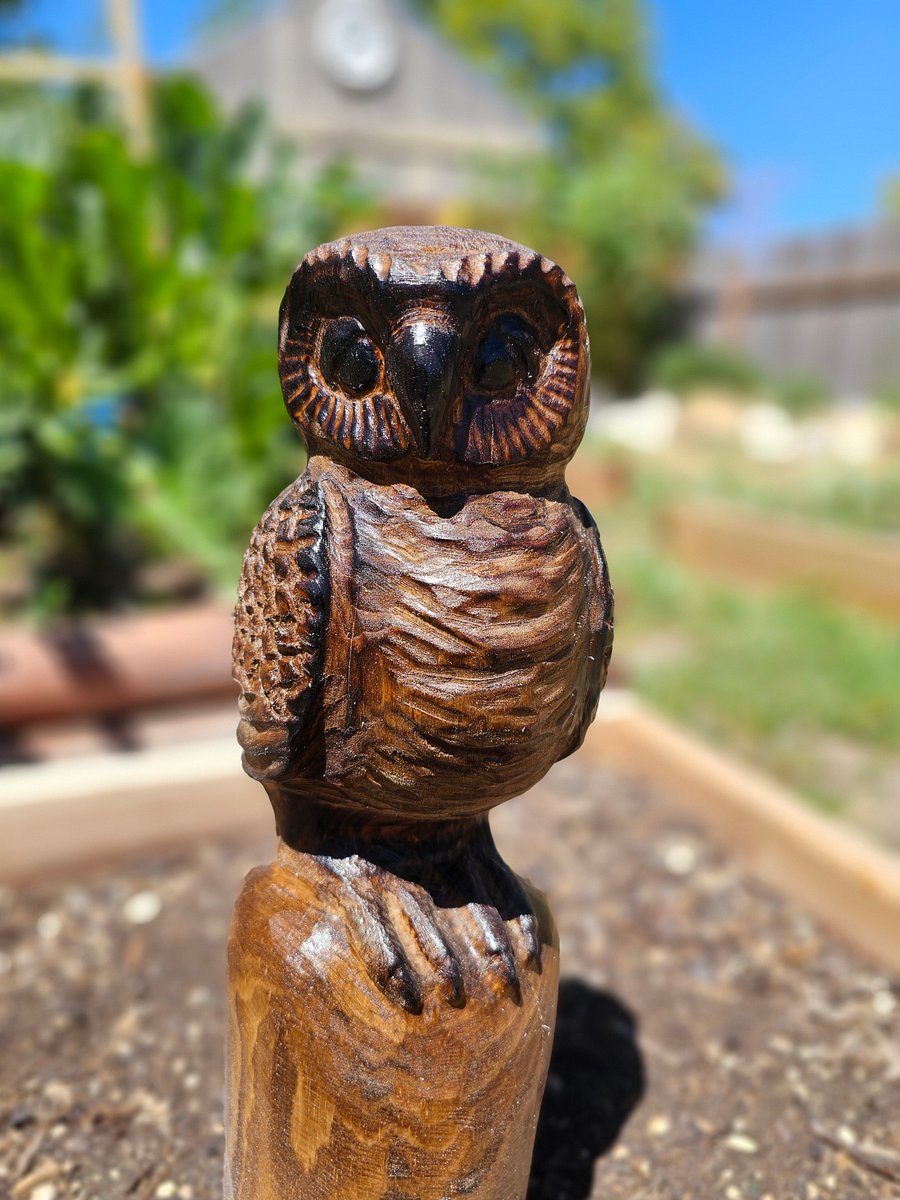Sleepy Owl Wood Carving product image (6)