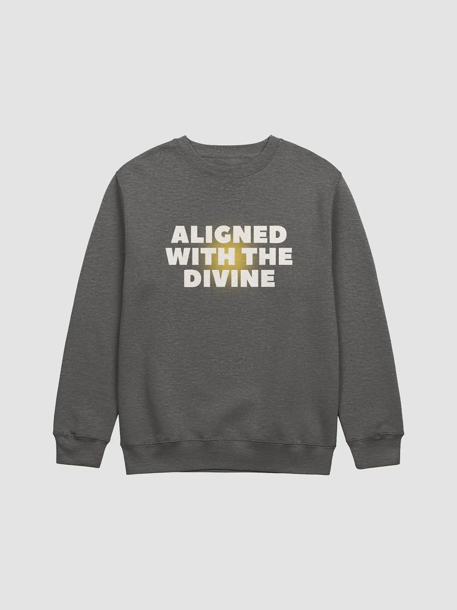 ALIGNED WITH THE DIVINE SWEATSHIRT product image (2)