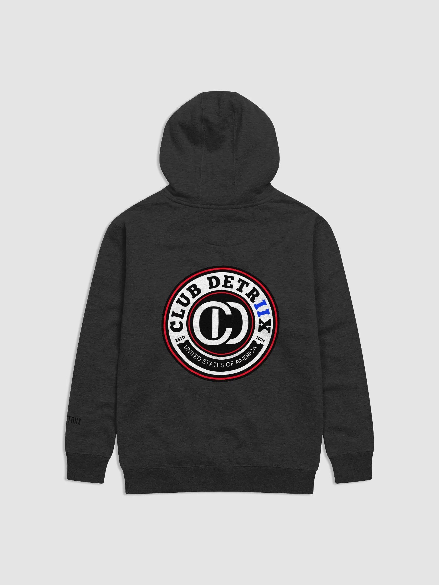 Club Detriix Emblem Hoodie product image (2)