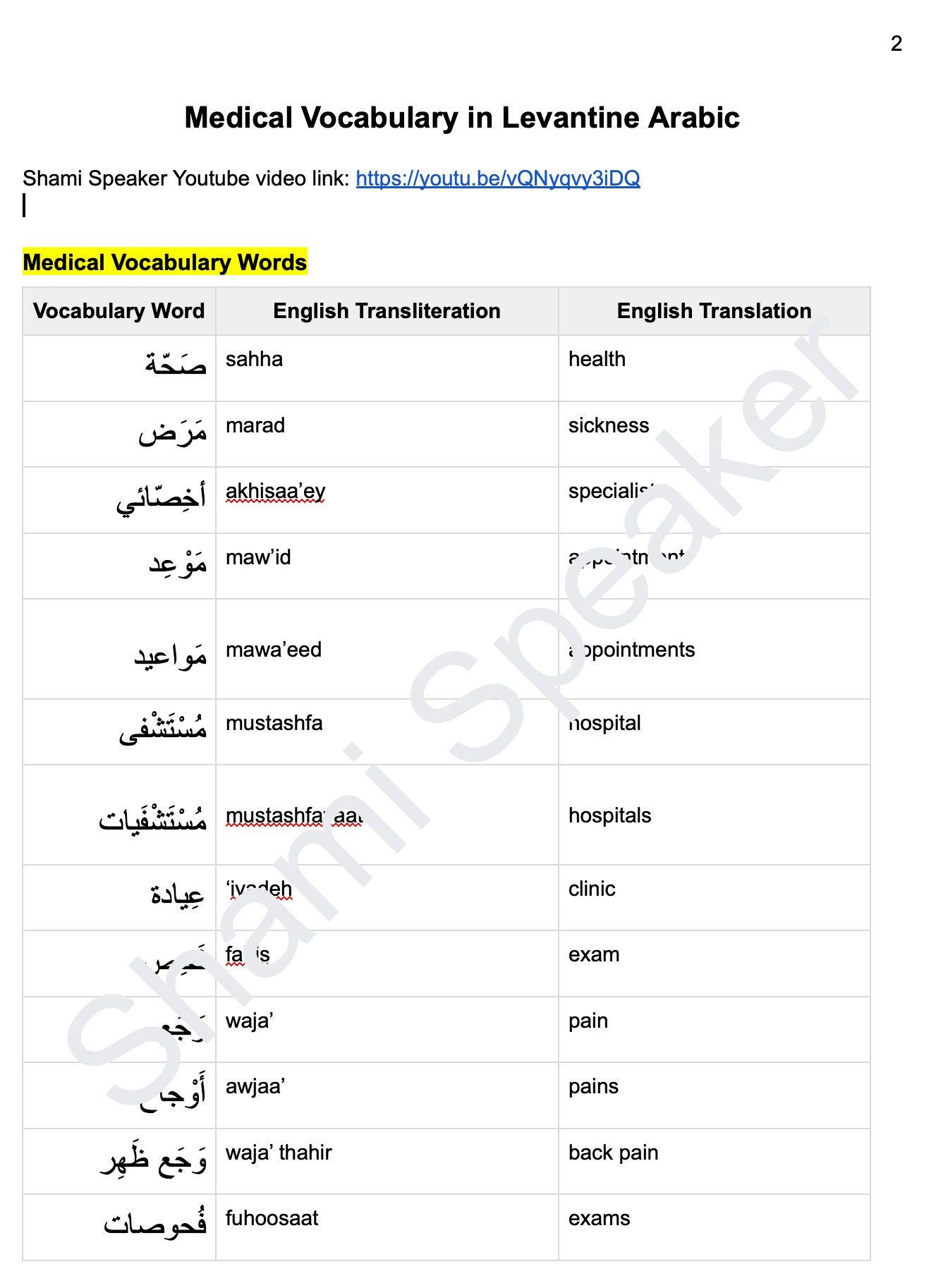Medical Vocabulary in Levantine Arabic product image (2)