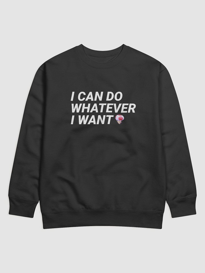 I CAN DO W.E I WANT SWEATER product image (1)