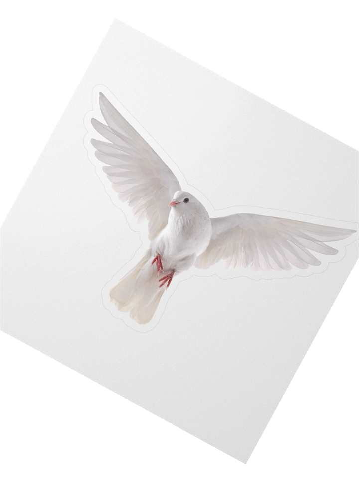 Dove Sticker product image (2)