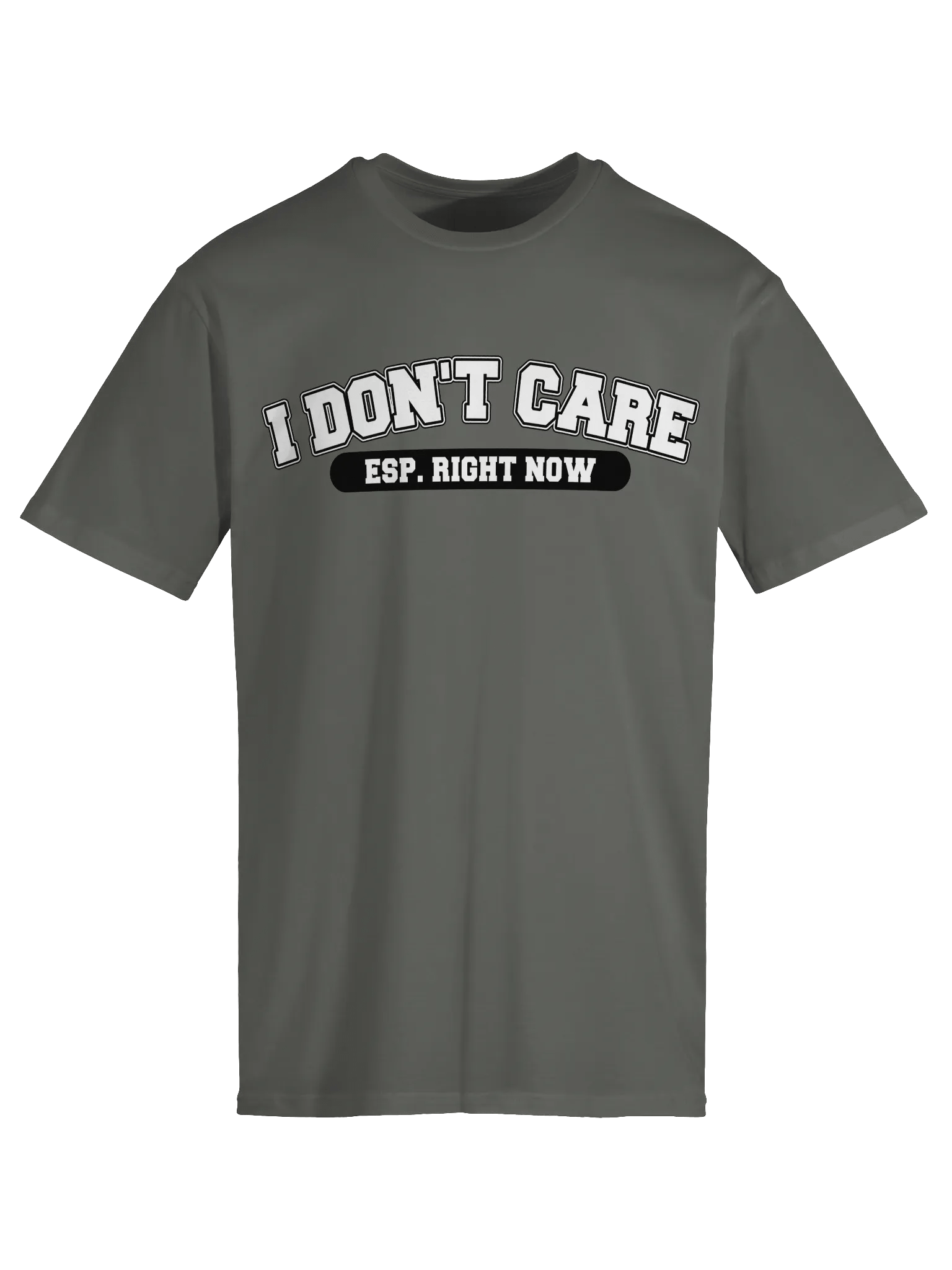"I Don't Care" Tee product image (3)