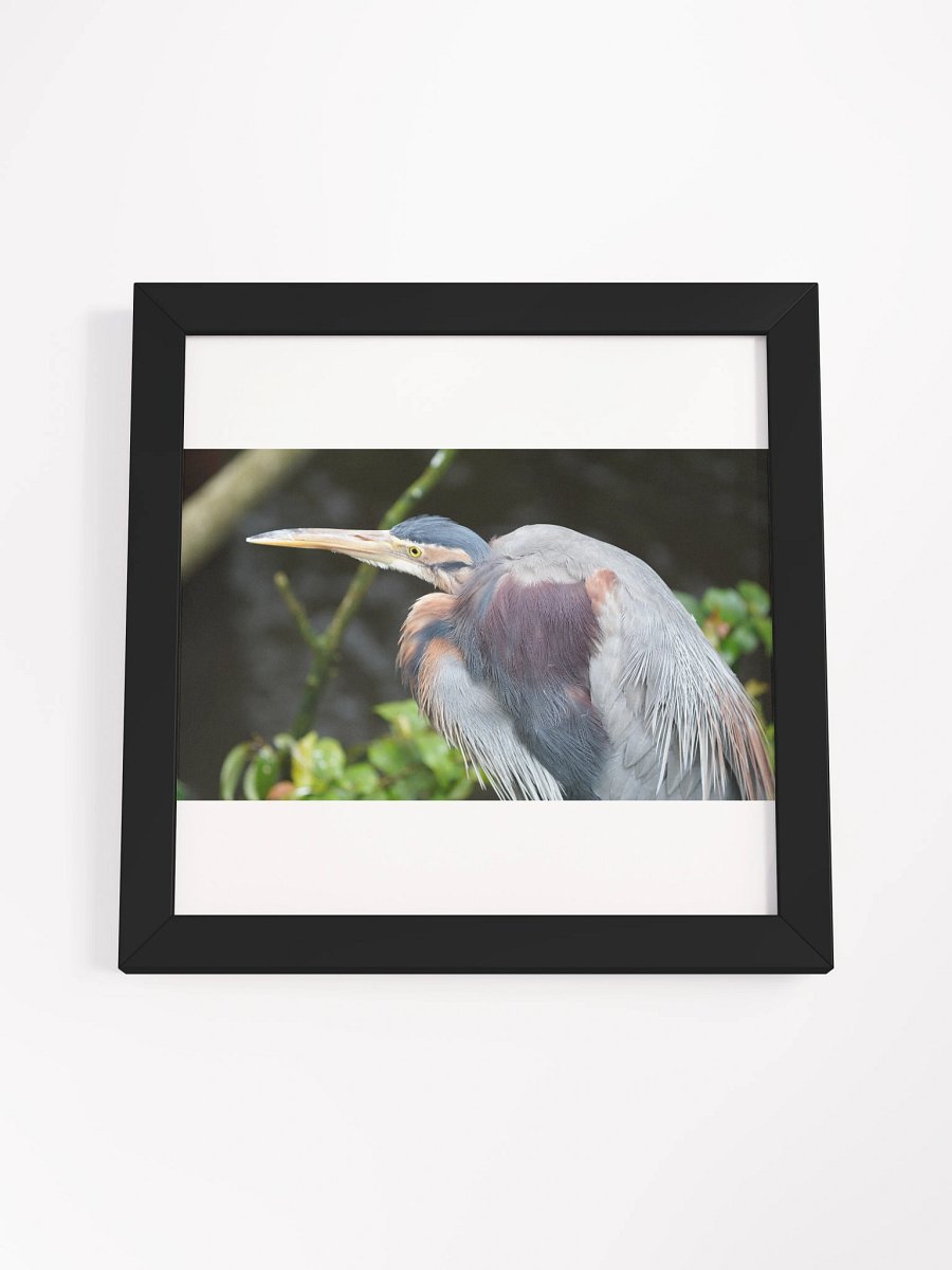 Vibrant Ayous Wood Framed Matte Poster product image (16)
