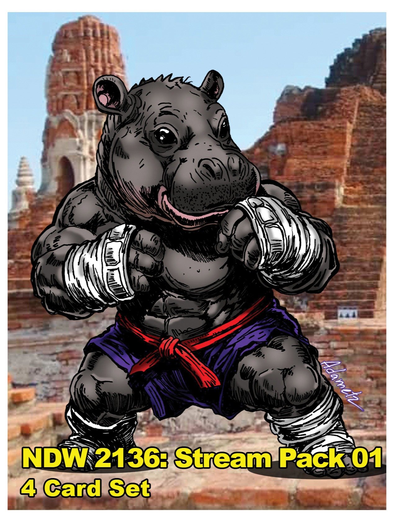 NDW 2136: Stream Pack 01 - Game Cards product image (1)