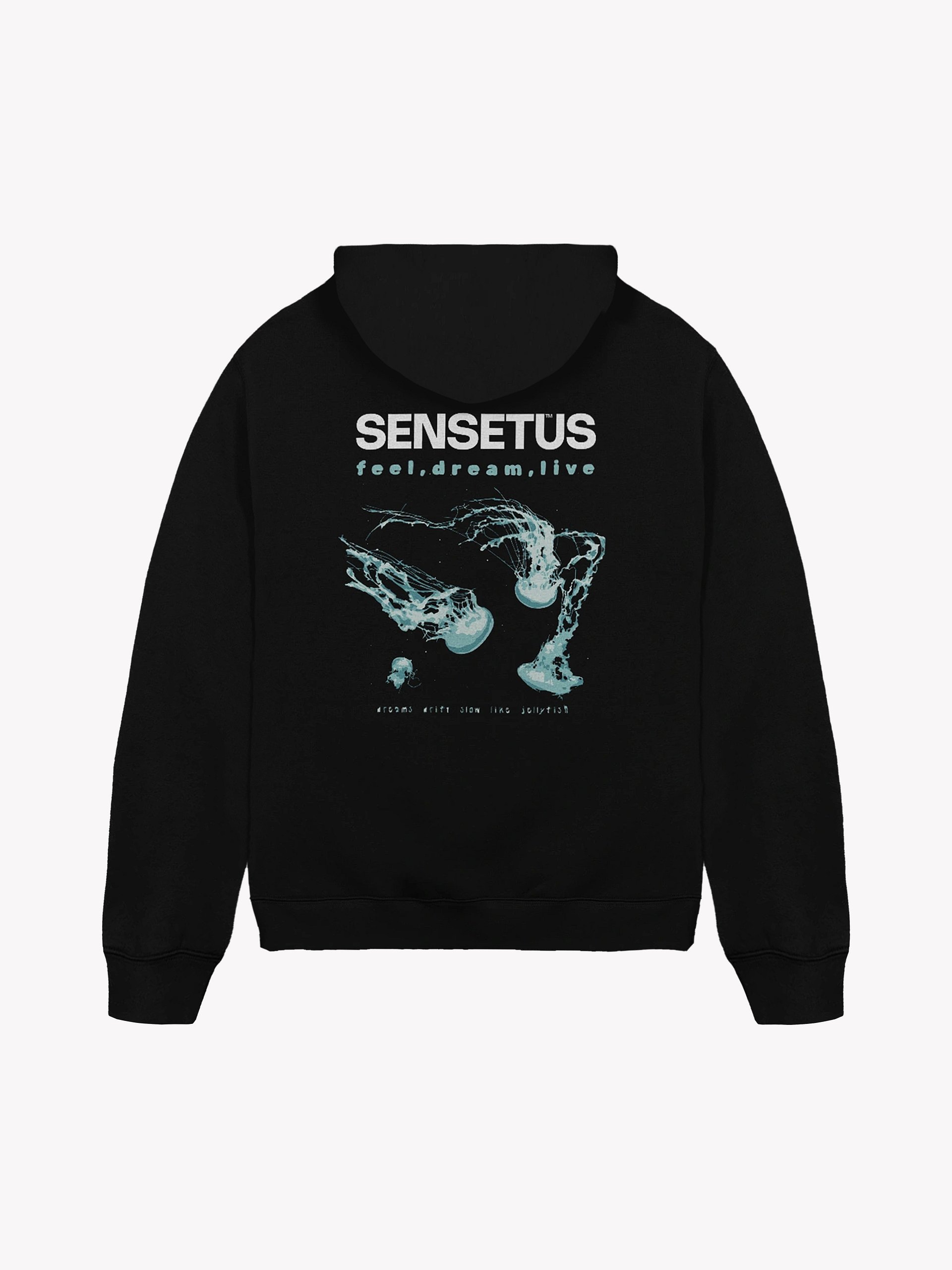 Black Shining Hoodie product image (1)