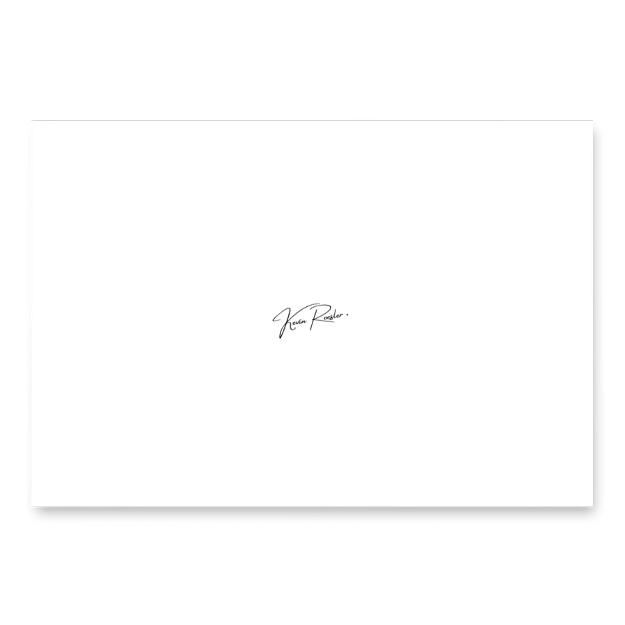 Elegant Roesler Wrapping Paper Set product image (3)