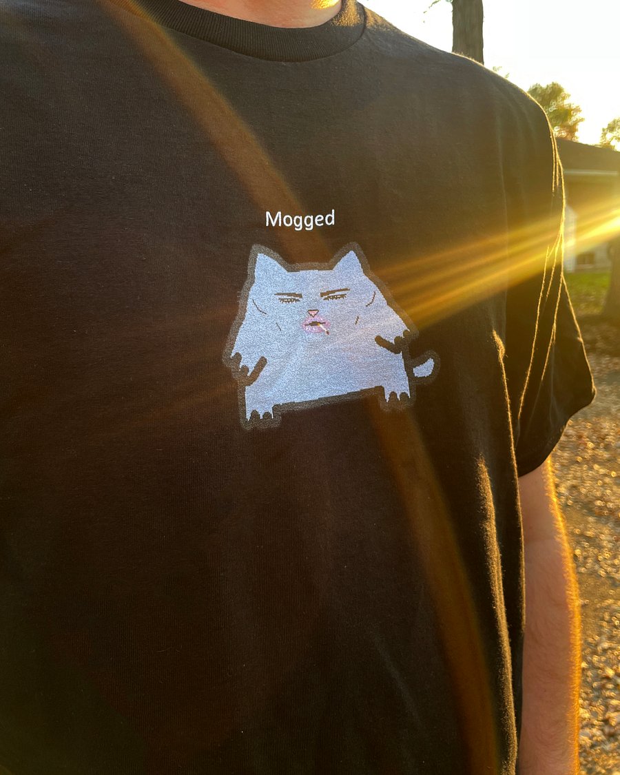 🗿mogged tee product image (2)