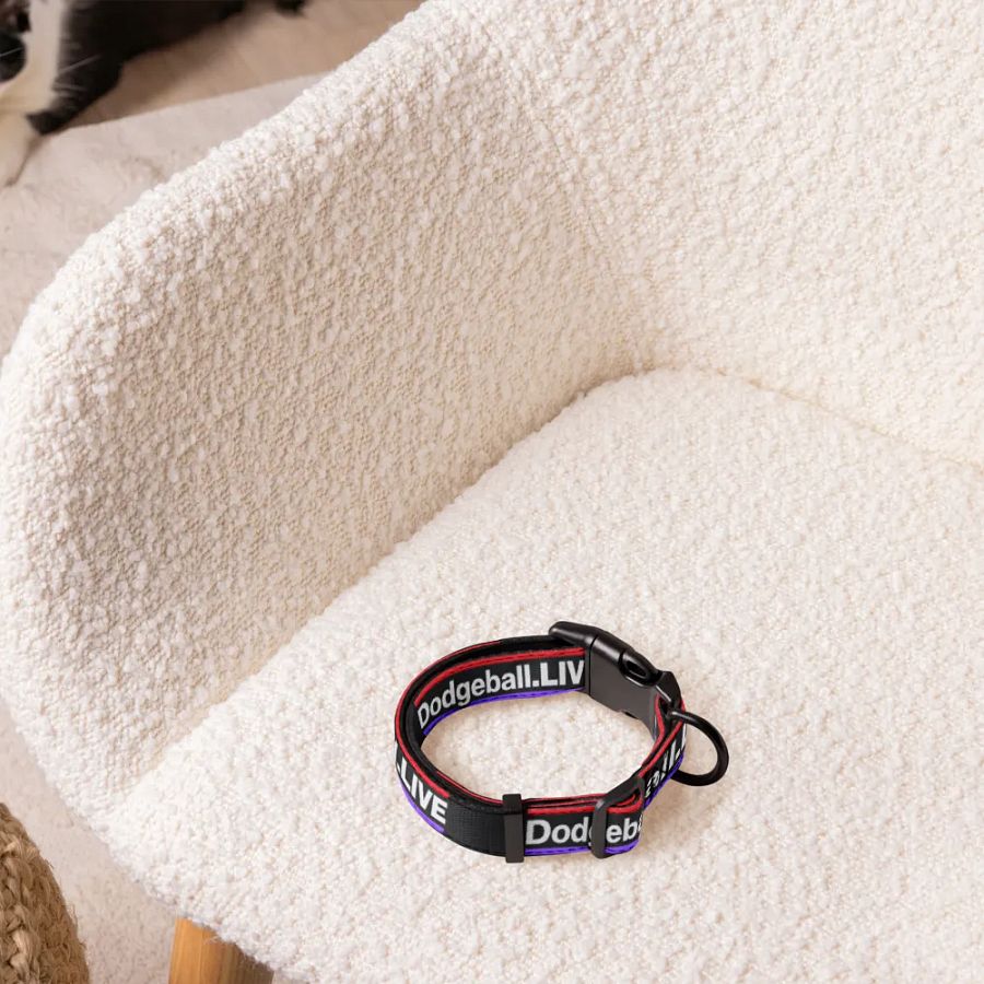 Dodgeball.LIVE Dog Collar product image (5)
